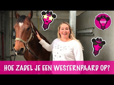 Hoe zadel je een westernpaard op | WesternWeetjes