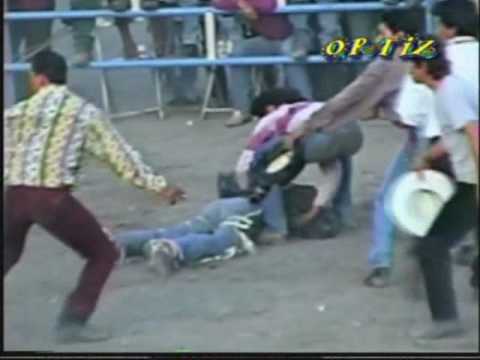 !!LOS TORASOS DE "EL GUERO PURINA" (PUROS PORRAZOS)!!