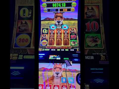 $1million dollars 777’s #slots #gamble #cash #casino #gambler #gambling #jackpot #scratch
