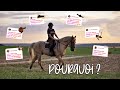 NOSEBAND, GOGUE, MORS : POURQUOI J'UTILISE CE MATÉRIEL SUR MES CHEVAUX ?!