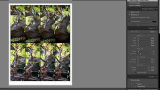 Create a contact sheet in Lightroom