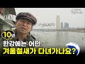 한강에는 어떤 겨울철새가 올까요 TBS 영상 아카이브 한강의 기록 EP 53 한강에는 어떤 겨울철새가 올까요 TBS 영상 아카이브 한강의 기록 EP 53