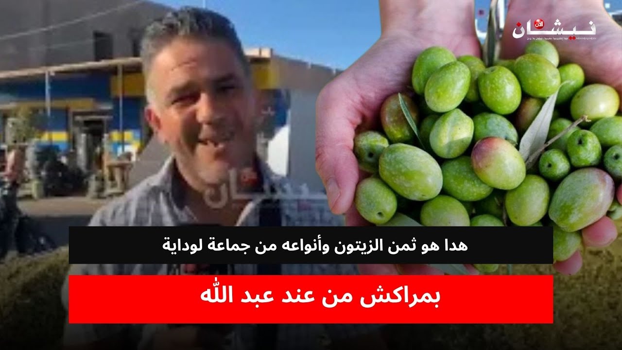 هدا هو ثمن الزيتون وأنواعه من جماعة لوداية بمراكش من عند عبد الله - YouTube