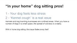 Best dog sitter Austin Travis County West | 512-484-5840