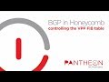 Using bgp in honeycomb to control the vpp fib table