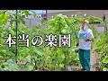 住所は楽園