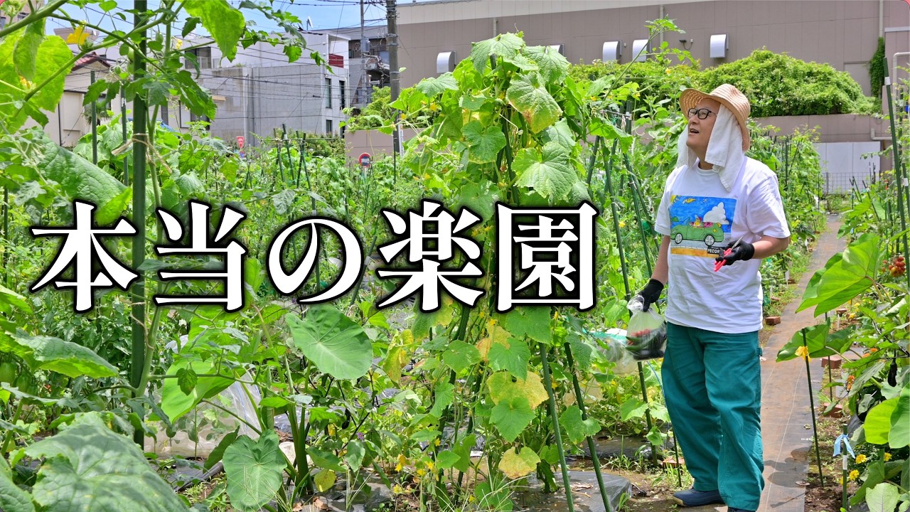 住所は楽園