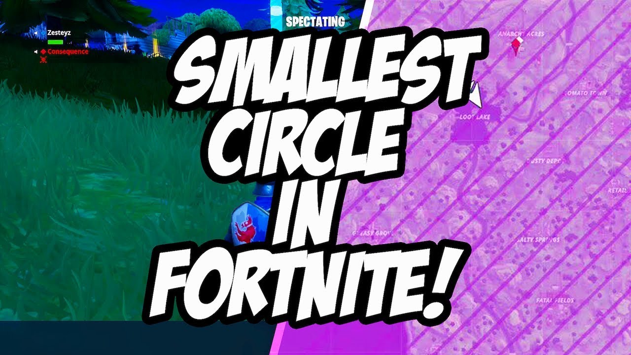 SMALLEST CIRCLE IN FORTNITE! (Crazy Ending!)