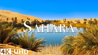 Sahara 4K • ภาพยนตร์เพื่อการผ่อนคลายพร้อมดนตรีเพื่อการผ่อนคลายอย่างสงบและวิดีโอธรรมชาติ Ultra HD