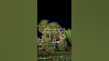 سورة النمل القارئ ياسر الدوسري