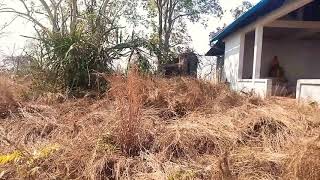 លើងលេងលើភ្នំជាមួុយPhea Kh?