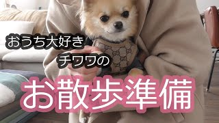 ひきこもり犬のお散歩準備は大変だ