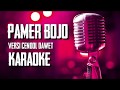 Download Lagu P4MER BOJO Versi Cendol Dawet K4RAOKE N0 V0CAL TERBARU