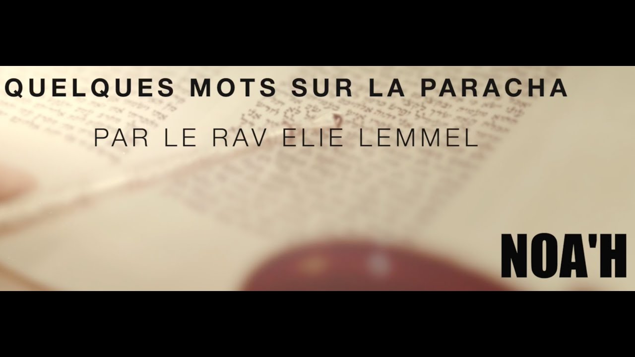 Du pain et du vin... Rav Elie Lemmel - Paracha Noa'h