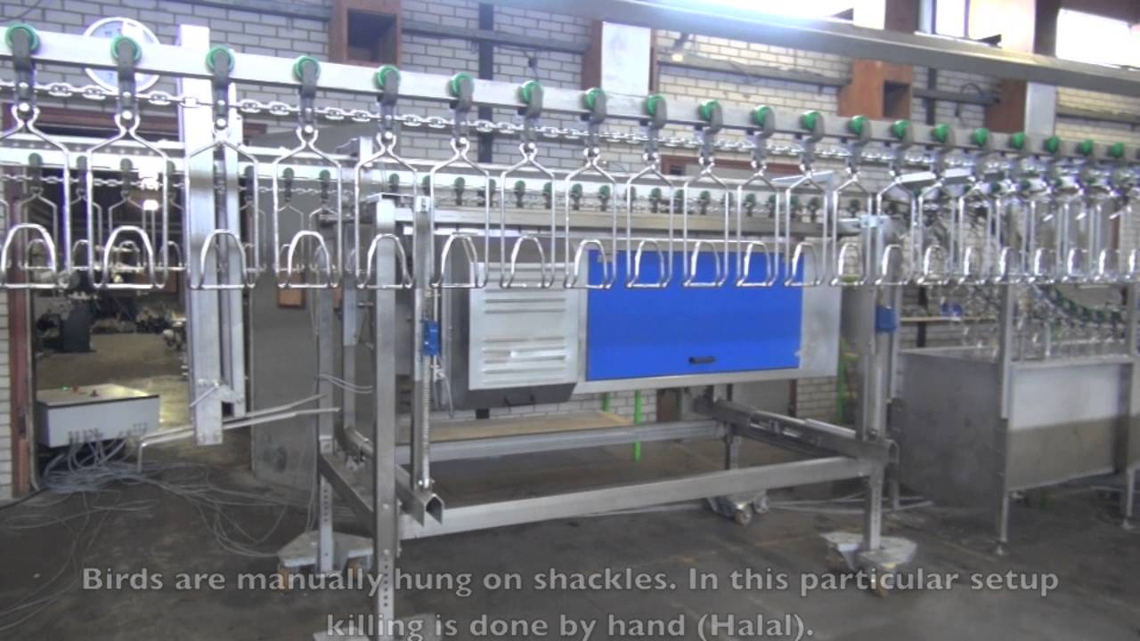 Featherman Equipment - Poultry Processing Equipment