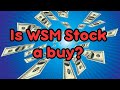 Is Williams Sonoma (WSM) A Great Dividend Stock To Buy Now?