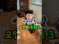 꼭 버려야할 고인의 유품 3가지 풍수 고인 유품정리 꼭 버려야할 고인의 유품 3가지 풍수 고인 유품정리
