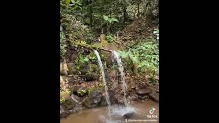 Amazonia Mujeres Bellas.
