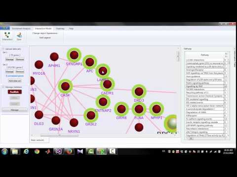 FunRich: Import Excel File and Generate  Interaction Diagram