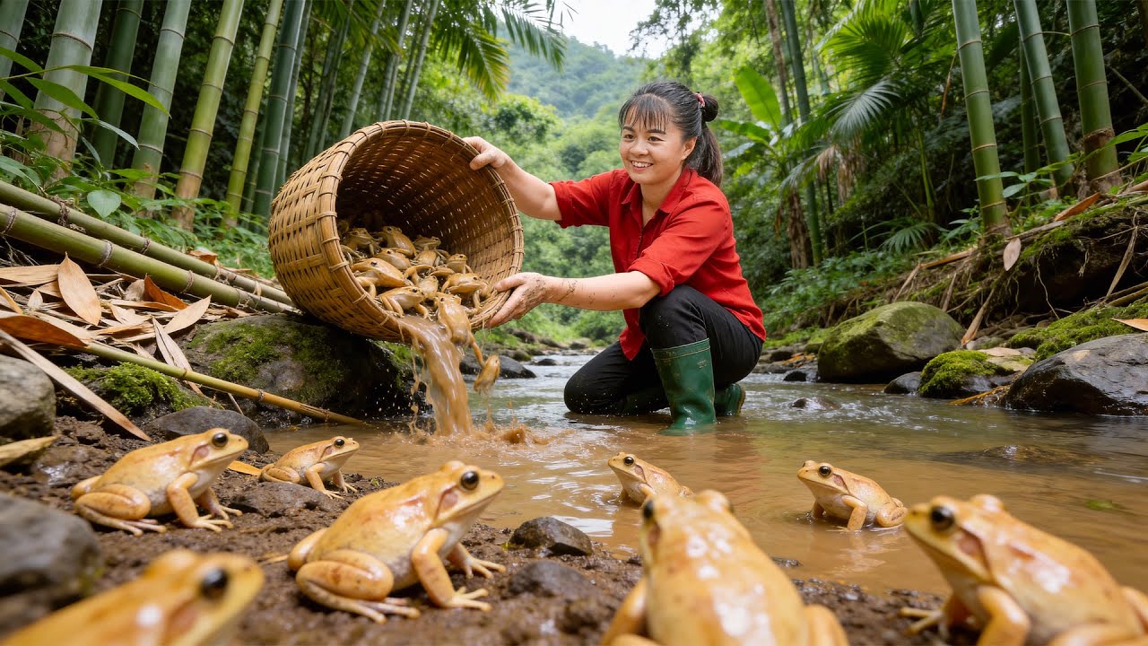TIMELAPSE: Harvesting 1000+ Rare Frogs in the Forest for Market & Frog Farming | New Peaceful Life