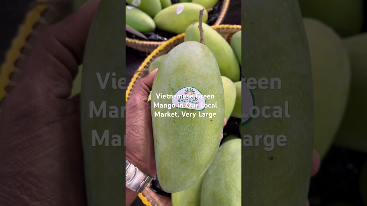 Vietnamese Green Mango in Our Local Market. Very Large