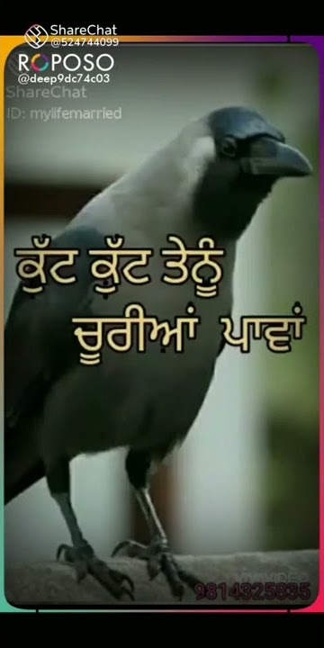 🙏🙏 'Kithee Bol Ve Chaleya Kawa Punjabi Shabad '🙏🙏. ..........