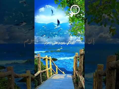 يا رسول الله إن أمي ماتت وعليها صوم شهر أفأقضيه عنها قال نعم فدين الله أحق أن يقضى ر