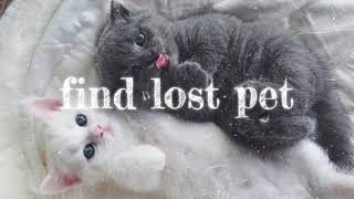 find your lost pet subliminal