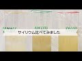 【3商品比較検証】健康食品サイリウムを水で溶いたら、驚きの結果に！