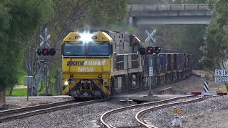 Bordertown Station , SA. With PN Steel train and Eastern Rosella .