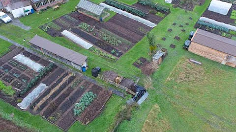 Winter vegetables in January, Charles Dowding's no...