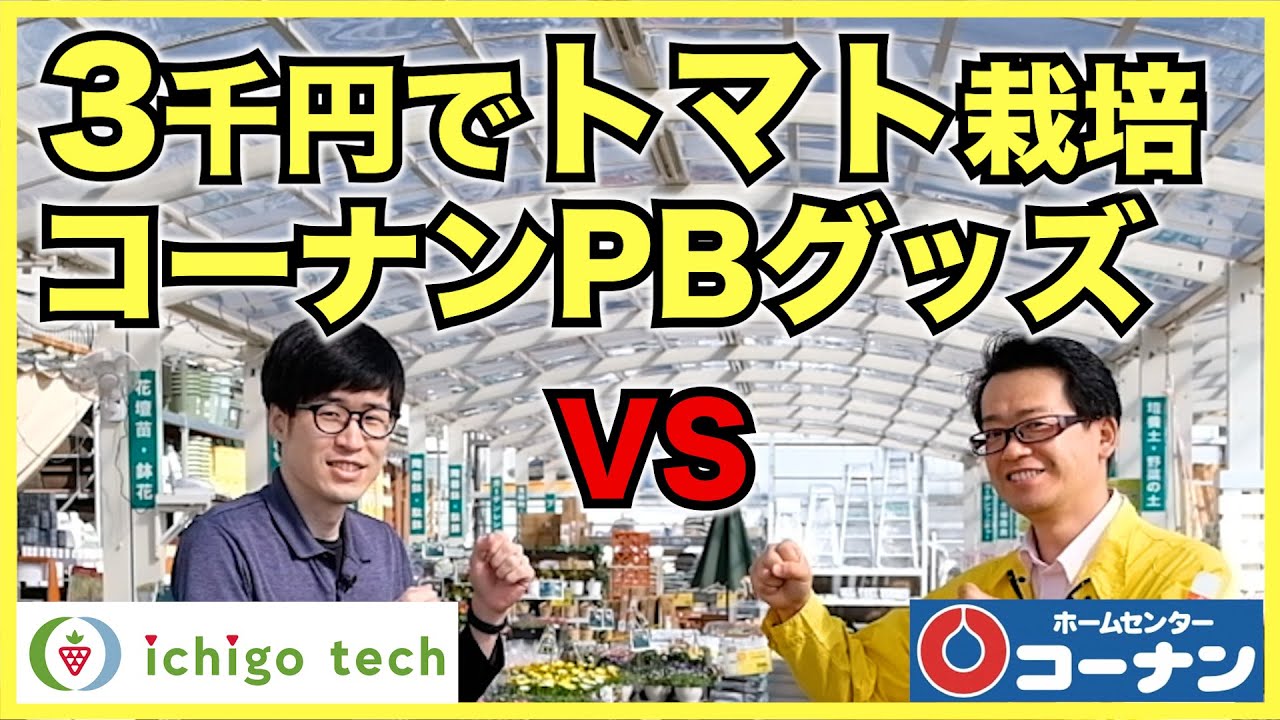 コーナン オリジナル そのまま植えるお手軽 Lifelex 家庭菜園