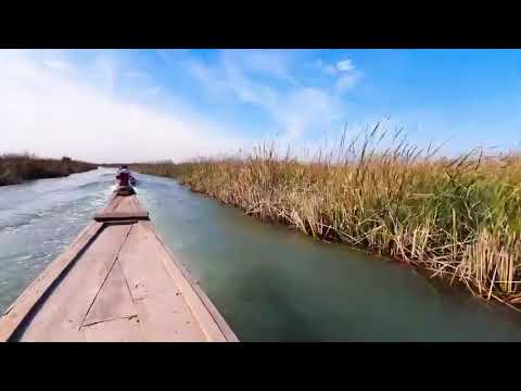 طر الهور بمشوحفنه غنيه قديمه كلش تسحيلات حمودي ابن العماره استركو بلقناه ليصلكم كل ماهو حديد