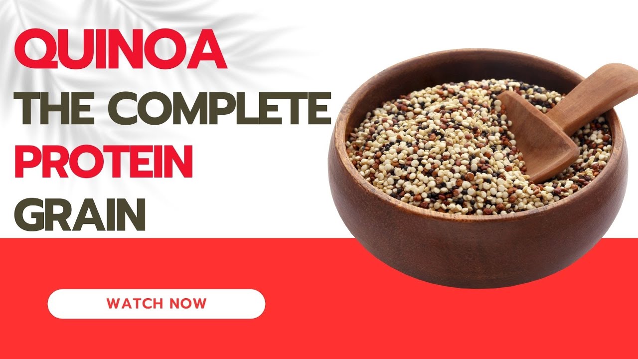 Quinoa The Complete Protein Grain YouTube