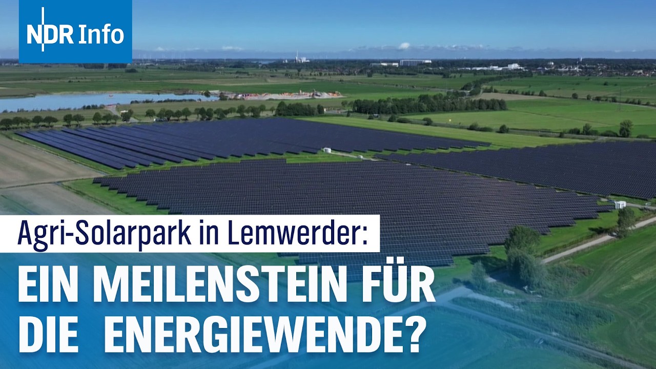 So produziert Deutschlands größter Agri-Solarpark in Niedersachsen Strom | NDR Info