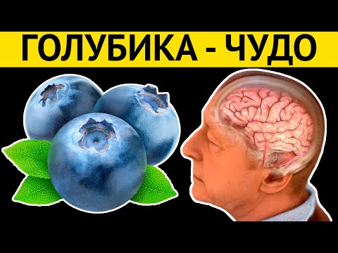 ЯГОДА ВОЗРОЖДЕНИЯ. Не пропустите сезон ГОЛУБИКИ, если у Вас следующие проблемы...