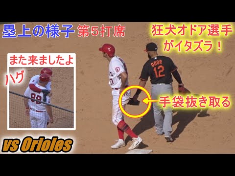 あの狂犬オドア選手が走塁用手袋を抜き取るイタズラ！【大谷翔平選手】塁上の様子 Shohei Ohtani On Base vs Orioles 2022