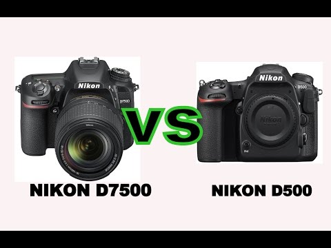 Nikon D7500 vs