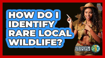 How Do I Identify Rare Local Wildlife? - Ecosystem Essentials