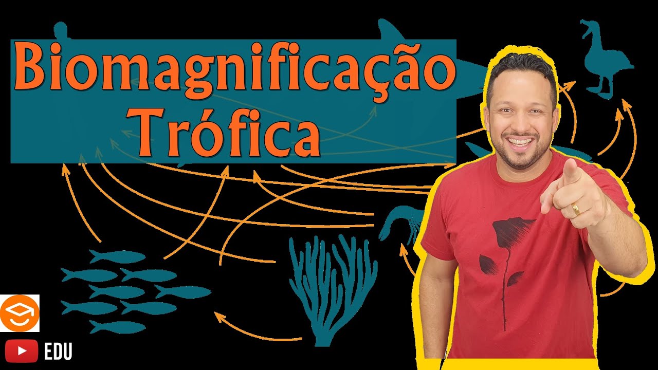 Biomagnificação Trófica - Magnificação Trófica - Cadeia Alimentar ...