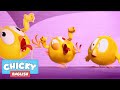 Where's Chicky? Funny Chicky 2020 | WHO LET THEM OUT? | Chicky Cartoon in English for Kids