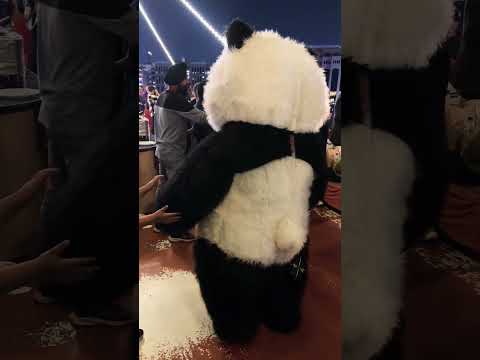 Panda In Cruise Enjoy Dubai Cruiseship Uae Duabi Abudhabi Traveling Travel Love Family