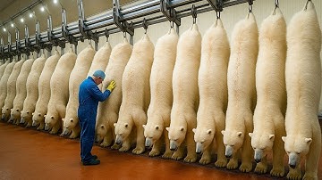 Inside a Modern Factory | Large-Scale Polar Bear Hide Processing (CGI)