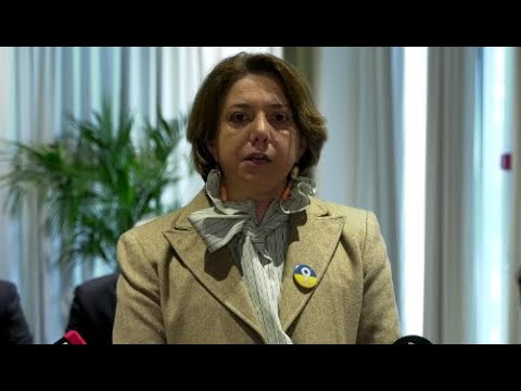 სტრუქტურის შექმნა არ არის გამოსავალი თუ არ არსებობს პოლიტიკური ნება - სამადაშვილი