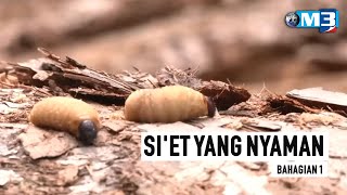 Majalah 3 | Si'et Yang Nyaman Bhg 1