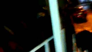 Los ducks de la indepe kuakk kuakk