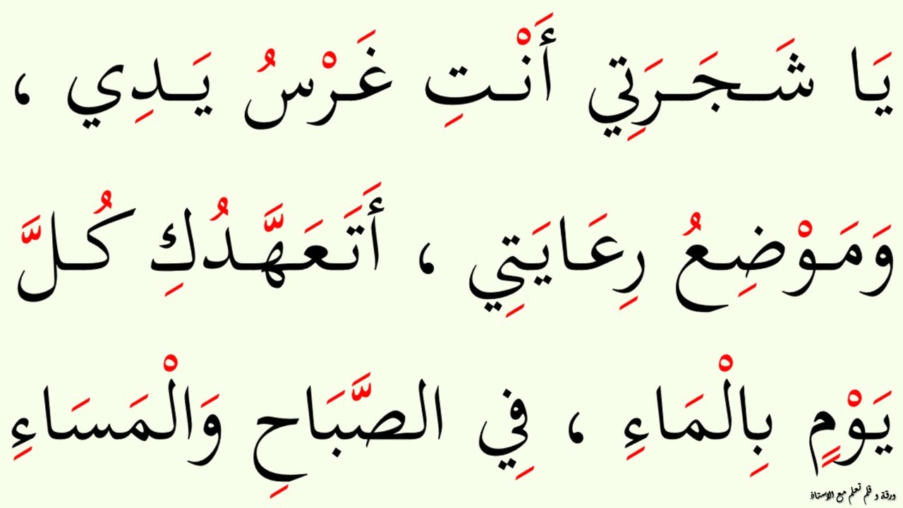 Мы учимся читать отрывок, содержащий долгие гласные (алиф и я) и сукун | Эпизод: 378