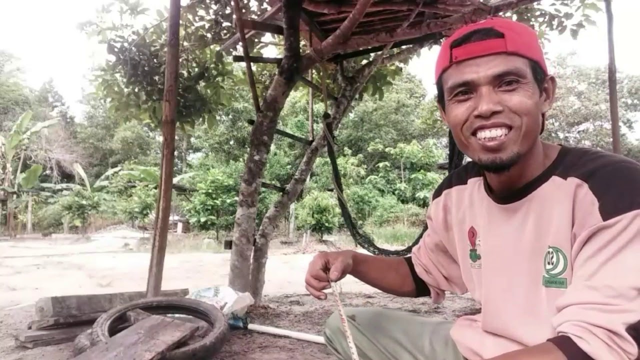 Cara menanam Buah Naga kuwe Gampang. Part 1 