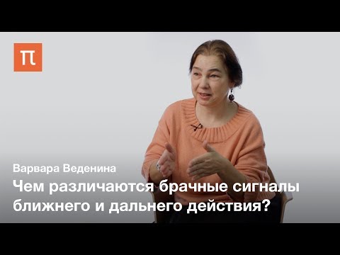 Брачное поведение дрозофил — Варвара Веденина