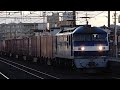 JR貨物 EF210 124号機 桃太郎 更新機 貨物列車 近江八幡駅通過 20241106 JR貨物 EF210 124号機 桃太郎 更新機 貨物列車 近江八幡駅通過 20241106